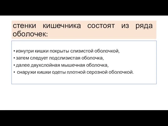 стенки кишечника состоят из ряда оболочек: изнутри кишки покрыты слизистой оболочкой, затем