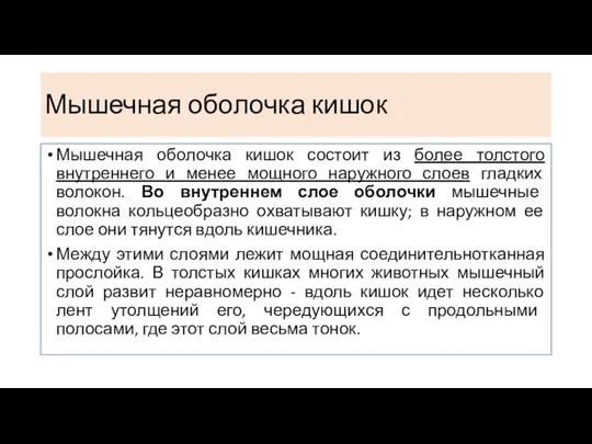 Мышечная оболочка кишок Мышечная оболочка кишок состоит из более толстого внутреннего и