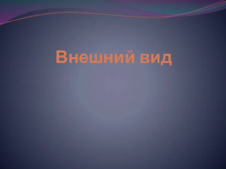 Внешний вид