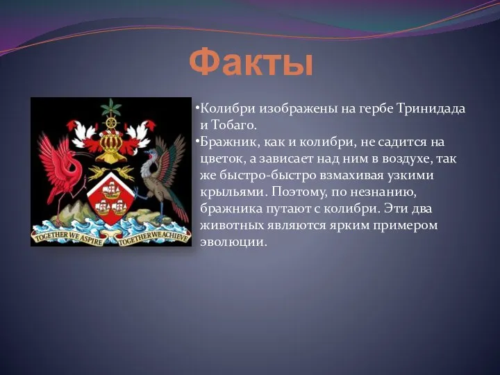 Факты Колибри изображены на гербе Тринидада и Тобаго. Бражник, как и колибри,