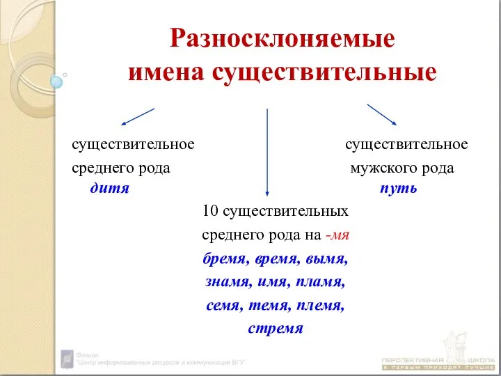 Разносклоняемые имена существительные существительное существительное среднего рода мужского рода дитя путь 10