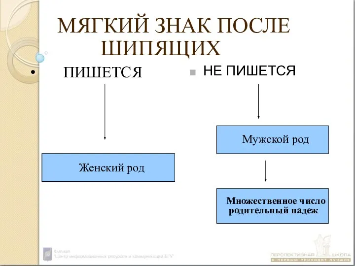 МЯГКИЙ ЗНАК ПОСЛЕ ШИПЯЩИХ Женский род ПИШЕТСЯ НЕ ПИШЕТСЯ Мужской род Множественное число родительный падеж