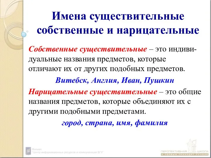 Имена существительные собственные и нарицательные Собственные существительные – это индиви-дуальные названия предметов,