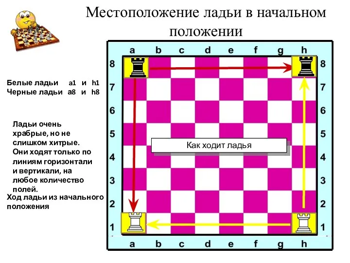 Местоположение ладьи в начальном положении Ладьи очень храбрые, но не слишком хитрые.