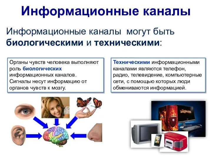 Информационные каналы Информационные каналы могут быть биологическими и техническими: Органы чувств человека