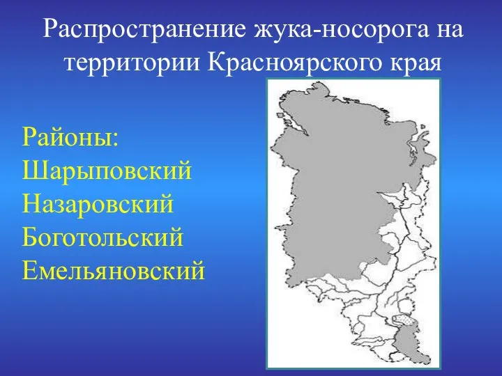 Распространение жука-носорога на территории Красноярского края Районы: Шарыповский Назаровский Боготольский Емельяновский