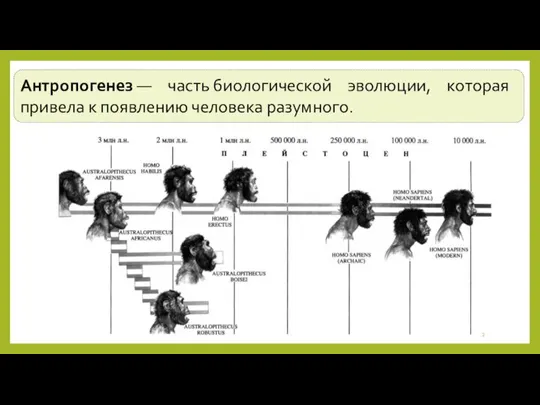 Антропогенез — часть биологической эволюции, которая привела к появлению человека разумного.