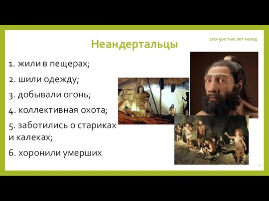 Неандертальцы 1. жили в пещерах; 2. шили одежду; 3. добывали огонь; 4.