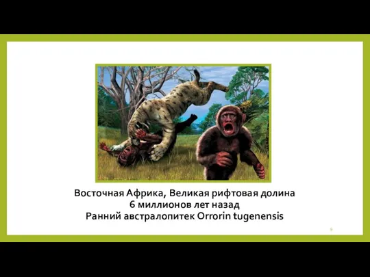 Восточная Африка, Великая рифтовая долина 6 миллионов лет назад Ранний австралопитек Orrorin tugenensis