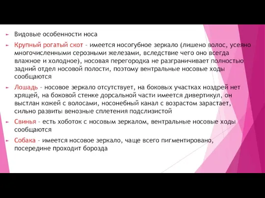 Видовые особенности носа Крупный рогатый скот – имеется носогубное зеркало (лишено волос,