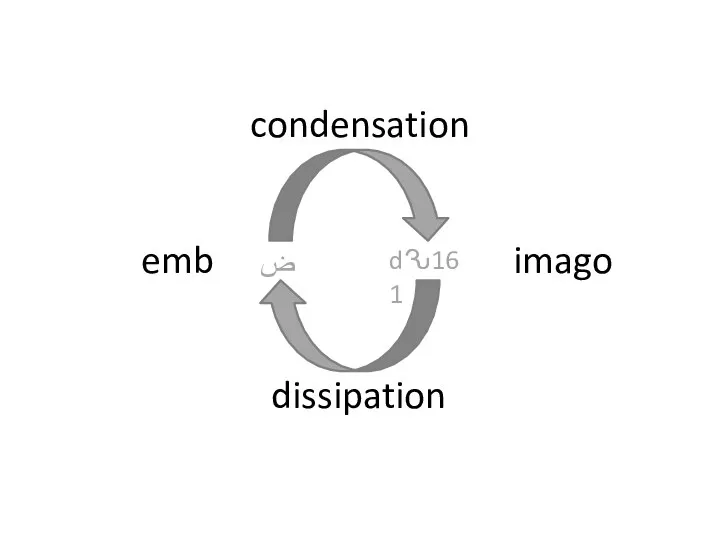 ﺽ dԄ161 dissipation emb imago condensation