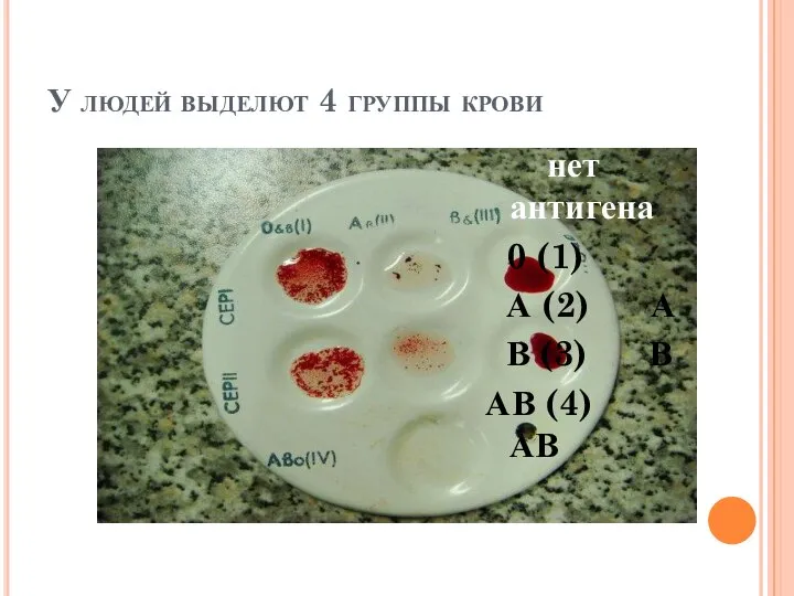 У людей выделют 4 группы крови нет антигена 0 (1) А (2)