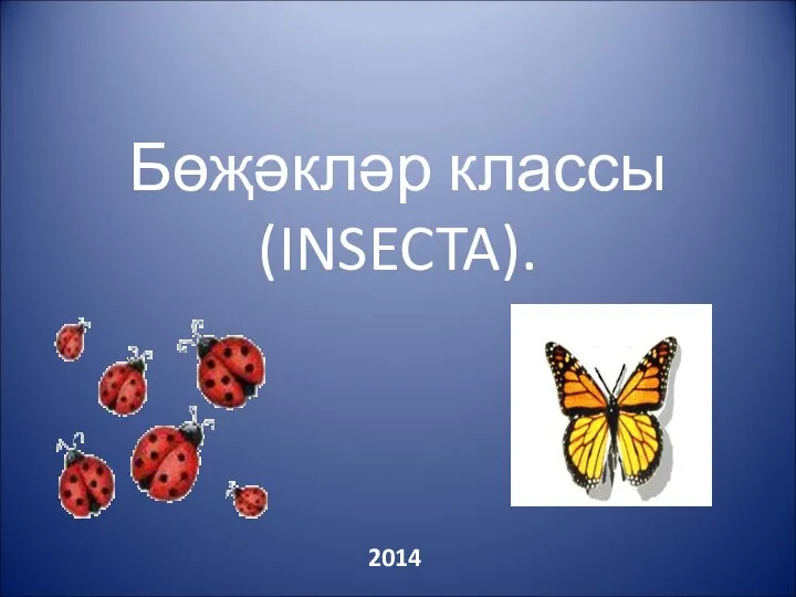 Бөҗәкләр классы (INSECTA). 2014