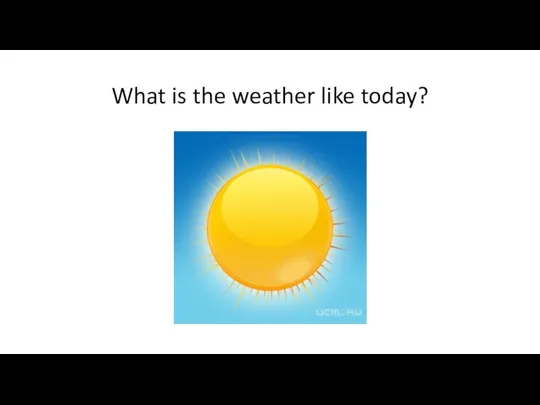 What is the weather like today?