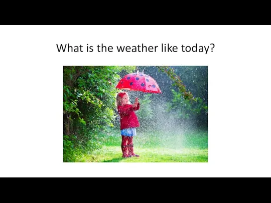 What is the weather like today?