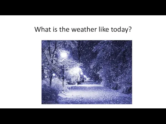 What is the weather like today?