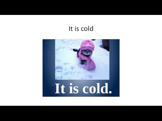 It is cold