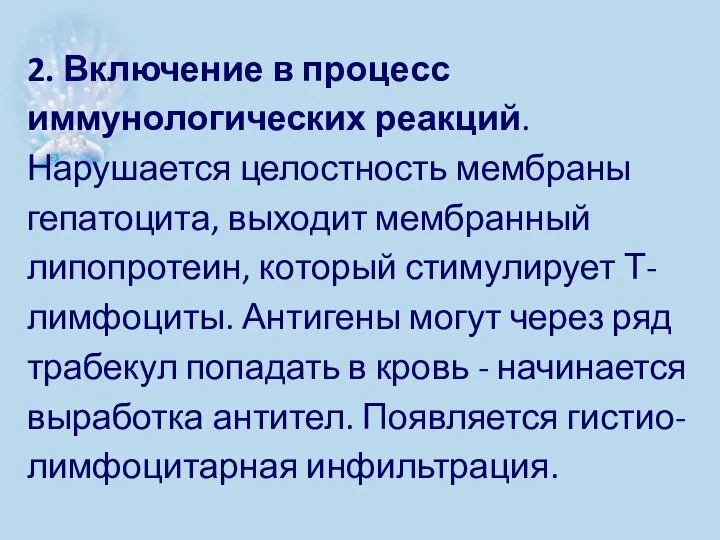 2. Включение в процесс иммунологических реакций. Нарушается целостность мембраны гепатоцита, выходит мембранный