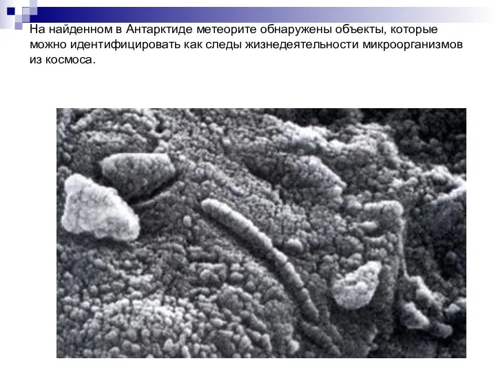 На найденном в Антарктиде метеорите обнаружены объекты, которые можно идентифицировать как следы жизнедеятельности микроорганизмов из космоса.