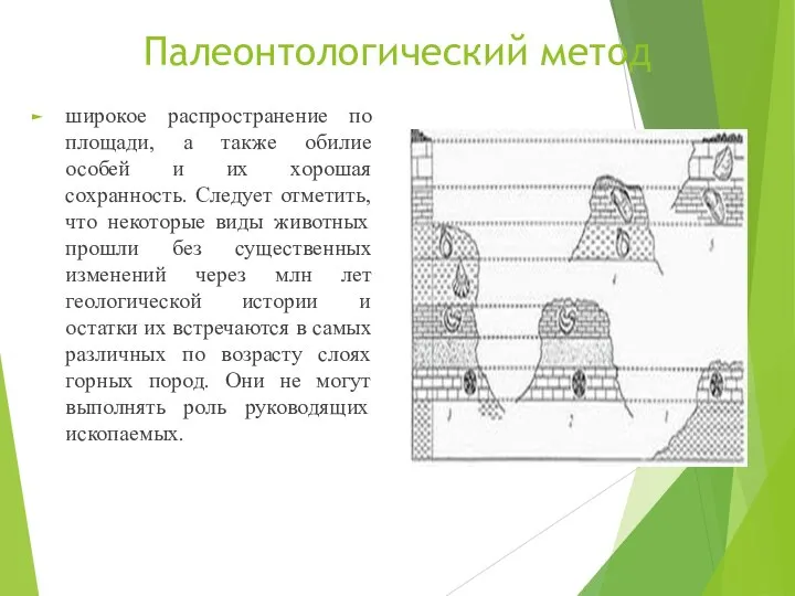 Палеонтологический метод широкое распространение по площади, а также обилие особей и их