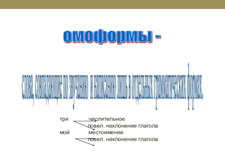 омоформы - слова, совпадающие по звучанию и написанию лишь в отдельных грамматических