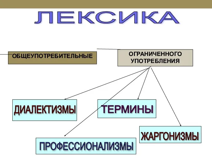 ЛЕКСИКА ОБЩЕУПОТРЕБИТЕЛЬНЫЕ ОГРАНИЧЕННОГО УПОТРЕБЛЕНИЯ ДИАЛЕКТИЗМЫ ПРОФЕССИОНАЛИЗМЫ ТЕРМИНЫ ЖАРГОНИЗМЫ