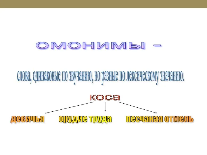 омонимы - слова, одинаковые по звучанию, но разные по лексическому значанию. девичья