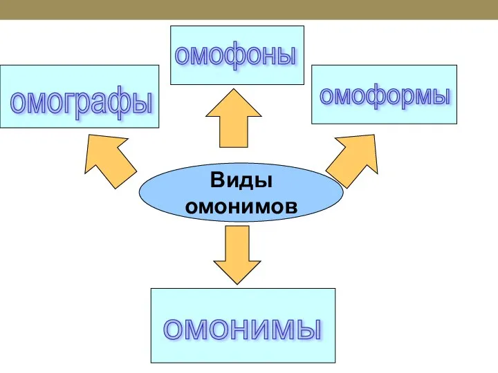 Виды омонимов омонимы омографы омофоны омоформы