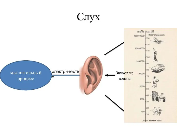 Слух мыслительный процесс электричество Звуковые волны