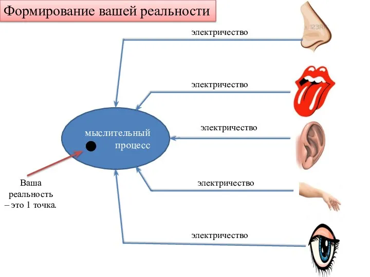 мыслительный процесс электричество электричество электричество электричество электричество Ваша реальность – это 1 точка. Формирование вашей реальности