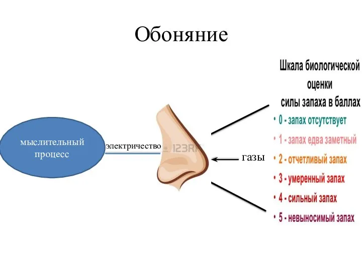 Обоняние мыслительный процесс электричество газы