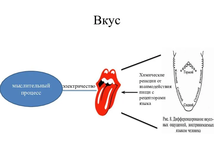 Вкус мыслительный процесс электричество Химические реакции от взаимодействия пищи с рецепторами языка