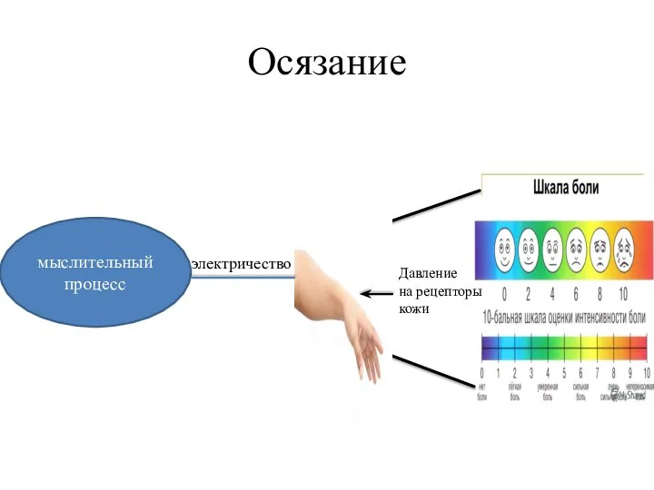 Осязание мыслительный процесс электричество Давление на рецепторы кожи