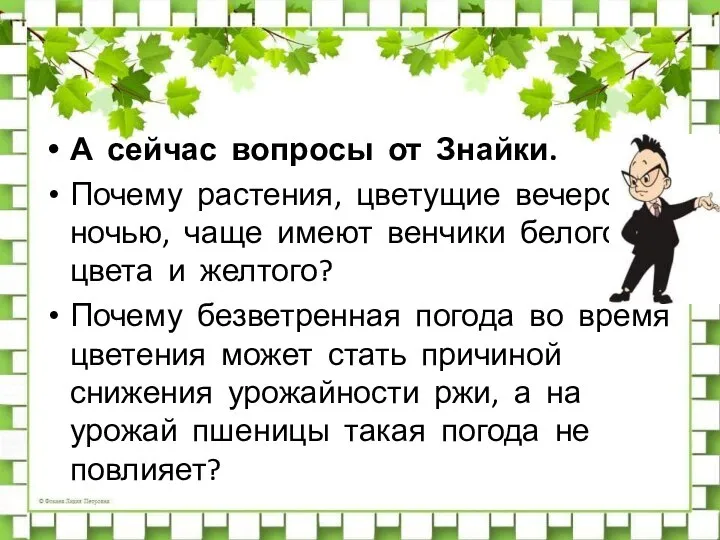 А сейчас вопросы от Знайки. Почему растения, цветущие вечером и ночью, чаще