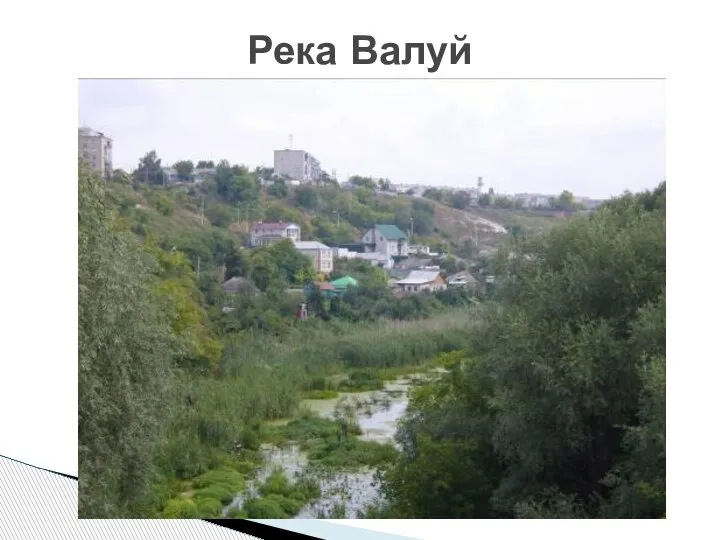 Река Валуй