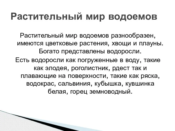 Растительный мир водоемов разнообразен, имеются цветковые растения, хвощи и плауны. Богато представлены