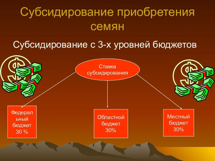 Субсидирование приобретения семян Субсидирование с 3-х уровней бюджетов Ставка субсидирования Федеральный бюджет