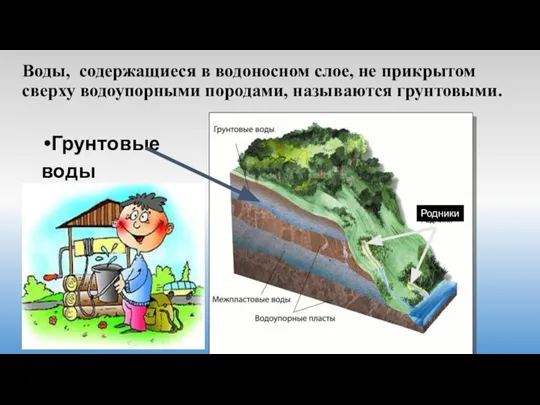 Воды, содержащиеся в водоносном слое, не прикрытом сверху водоупорными породами, называются грунтовыми. Грунтовые воды Родники