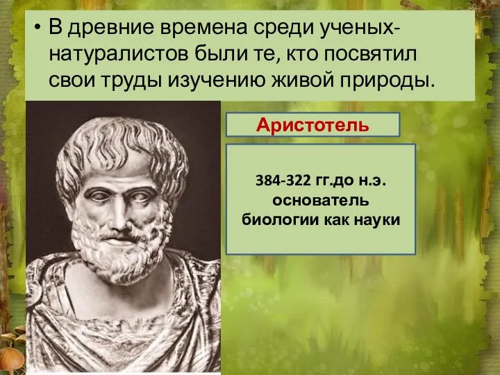 В древние времена среди ученых-натуралистов были те, кто посвятил свои труды изучению