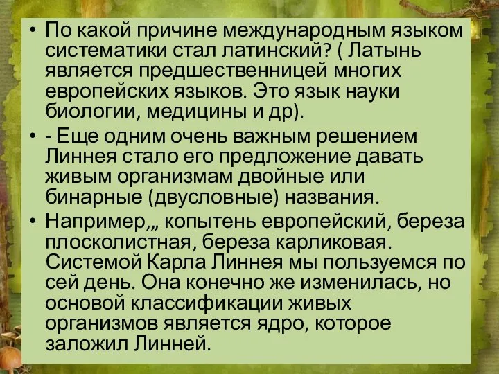 По какой причине международным языком систематики стал латинский? ( Латынь является предшественницей