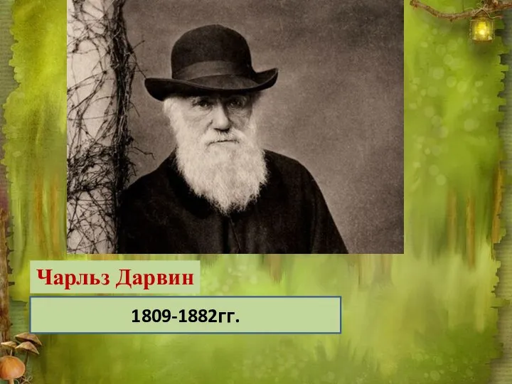 Чарльз Дарвин 1809-1882гг.