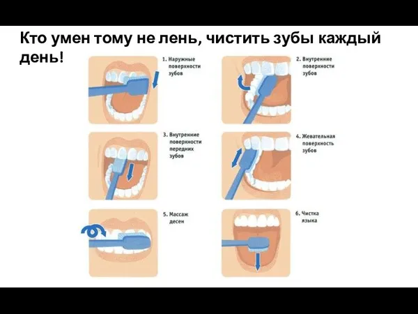 Кто умен тому не лень, чистить зубы каждый день!