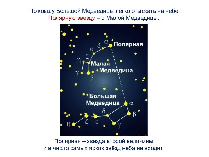 По ковшу Большой Медведицы легко отыскать на небе Полярную звезду – α