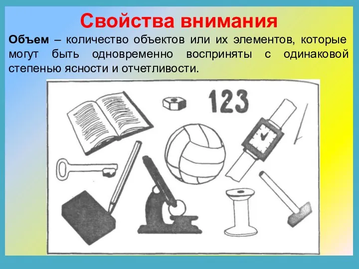 Свойства внимания Объем – количество объектов или их элементов, которые могут быть