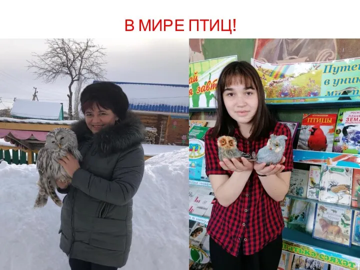 В МИРЕ ПТИЦ!