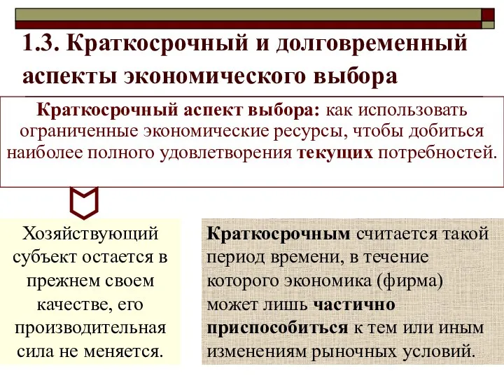 1.3. Краткосрочный и долговременный аспекты экономического выбора Хозяйствующий субъект остается в прежнем