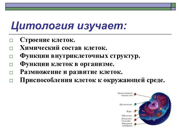 Цитология изучает: Строение клеток. Химический состав клеток. Функции внутриклеточных структур. Функции клеток