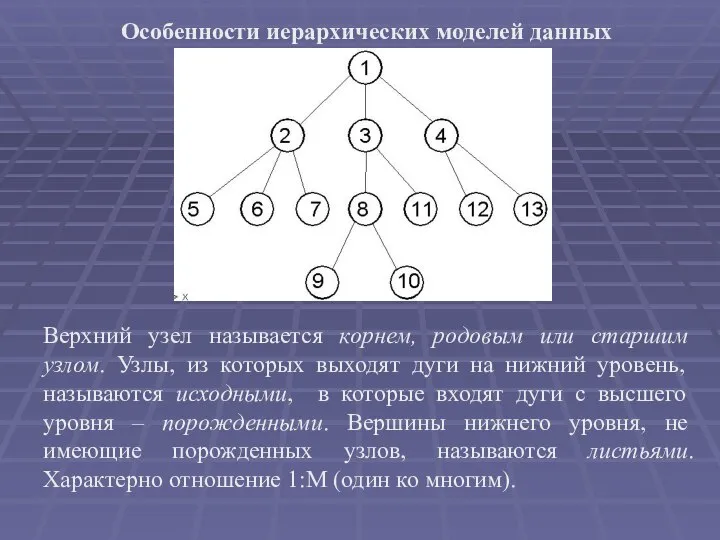 Особенности иерархических моделей данных Верхний узел называется корнем, родовым или старшим узлом.