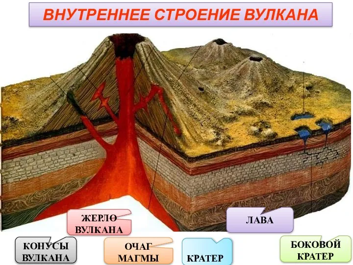 ВНУТРЕННЕЕ СТРОЕНИЕ ВУЛКАНА ЖЕРЛО ВУЛКАНА БОКОВОЙ КРАТЕР ОЧАГ МАГМЫ КРАТЕР КОНУСЫ ВУЛКАНА ЛАВА