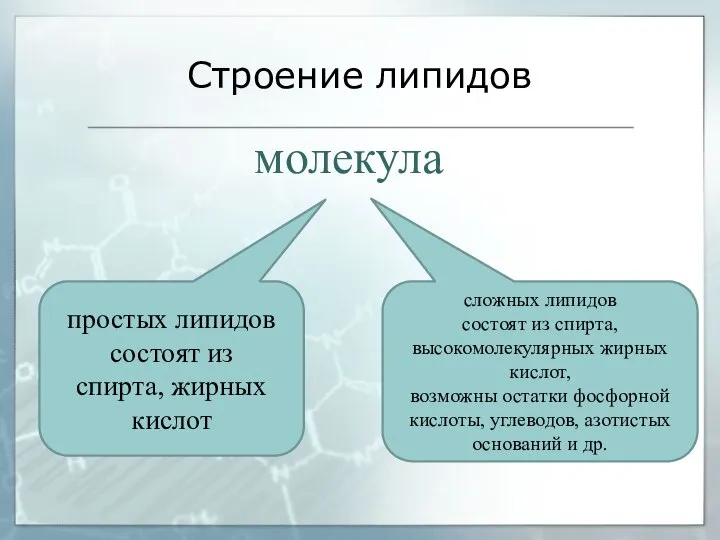 Строение липидов молекула простых липидов состоят из спирта, жирных кислот сложных липидов